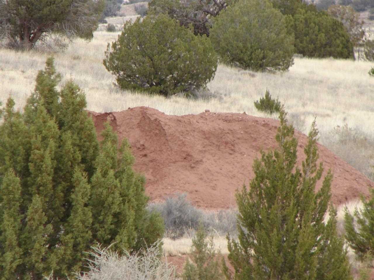 5192-521 Black Mesa Valley Road Snowflake, AZ 85937 - Photo 11 of 12