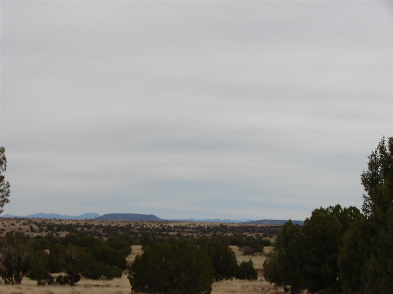 5192-521 Black Mesa Valley Road Snowflake, AZ 85937 - Photo 3 of 12