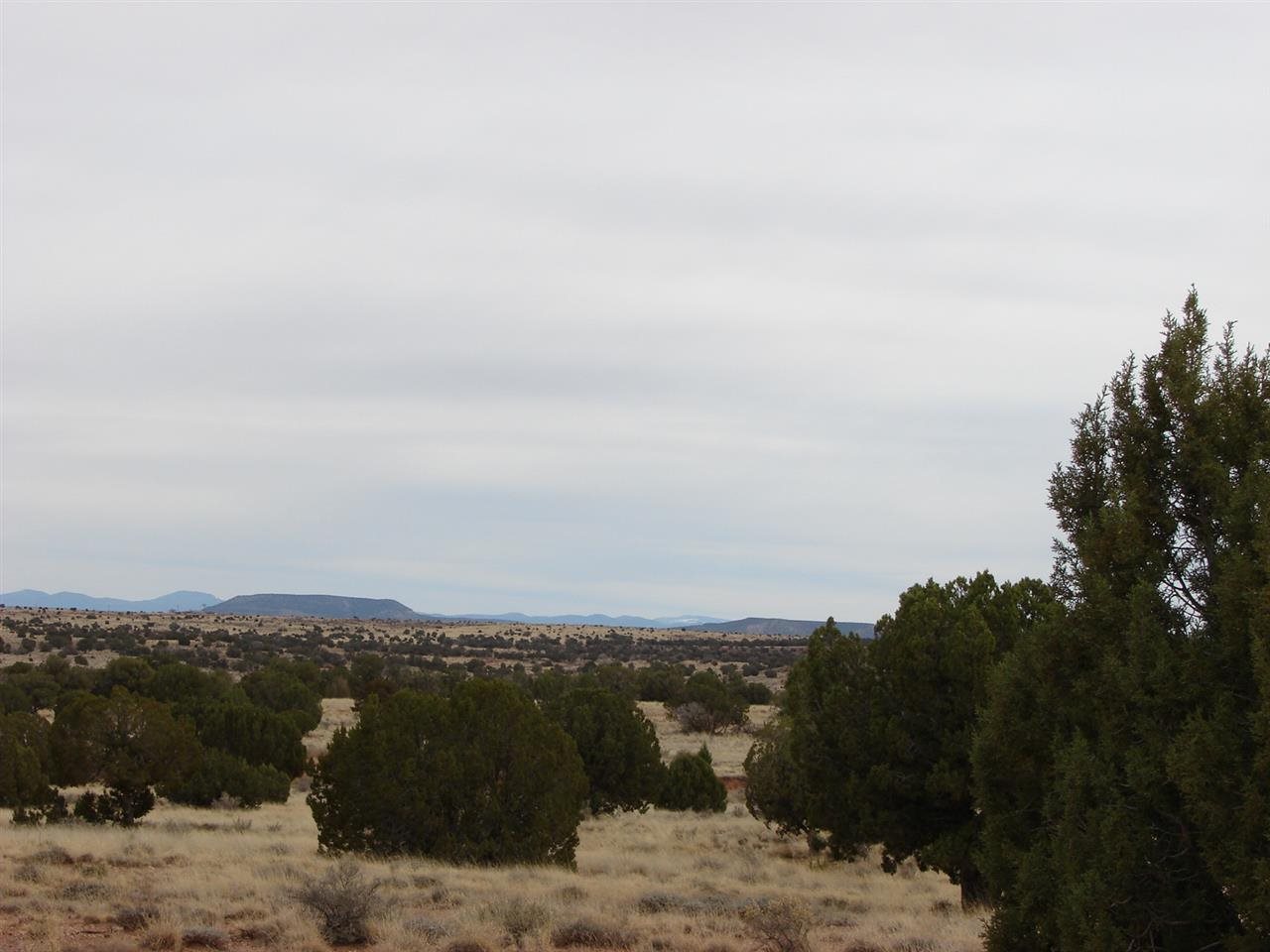 5192-521 Black Mesa Valley Road Snowflake, AZ 85937 - Photo 4 of 12