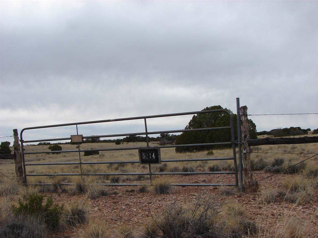 5192-521 Black Mesa Valley Road Snowflake, AZ 85937 - Photo 6 of 12