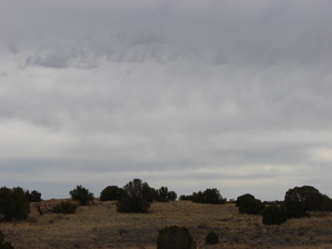 5192-521 Black Mesa Valley Road Snowflake, AZ 85937 - Photo 9 of 12