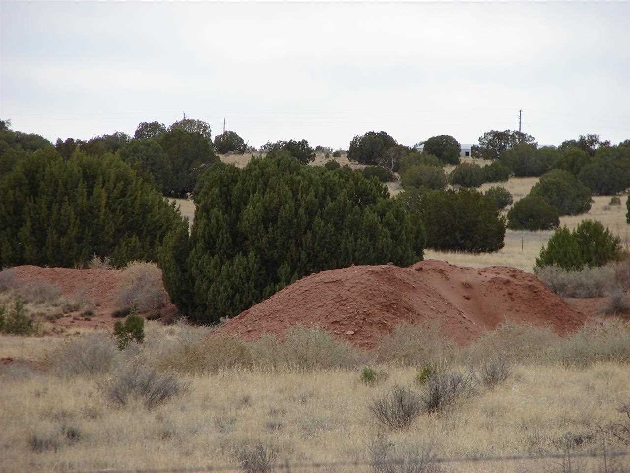 5192-521 Black Mesa Valley Road Snowflake, AZ 85937 - Photo 10 of 12
