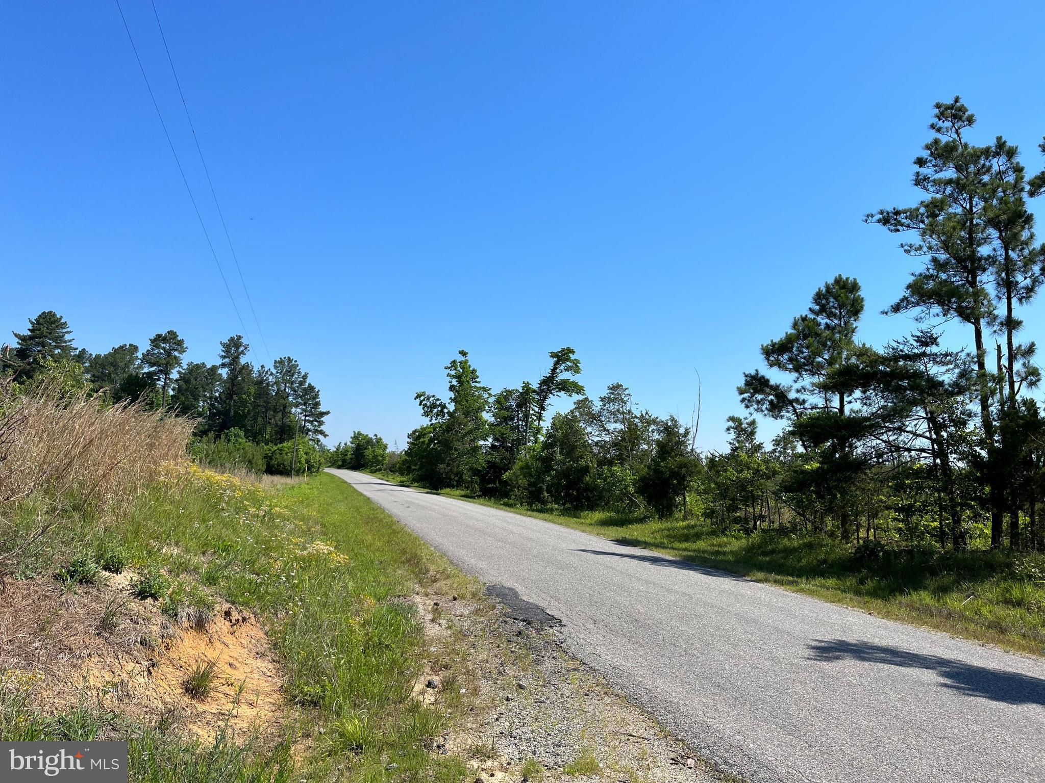 Mountain Creek Road Meherrin, VA 23954 - Photo 2 of 8 a view of a road with a garden