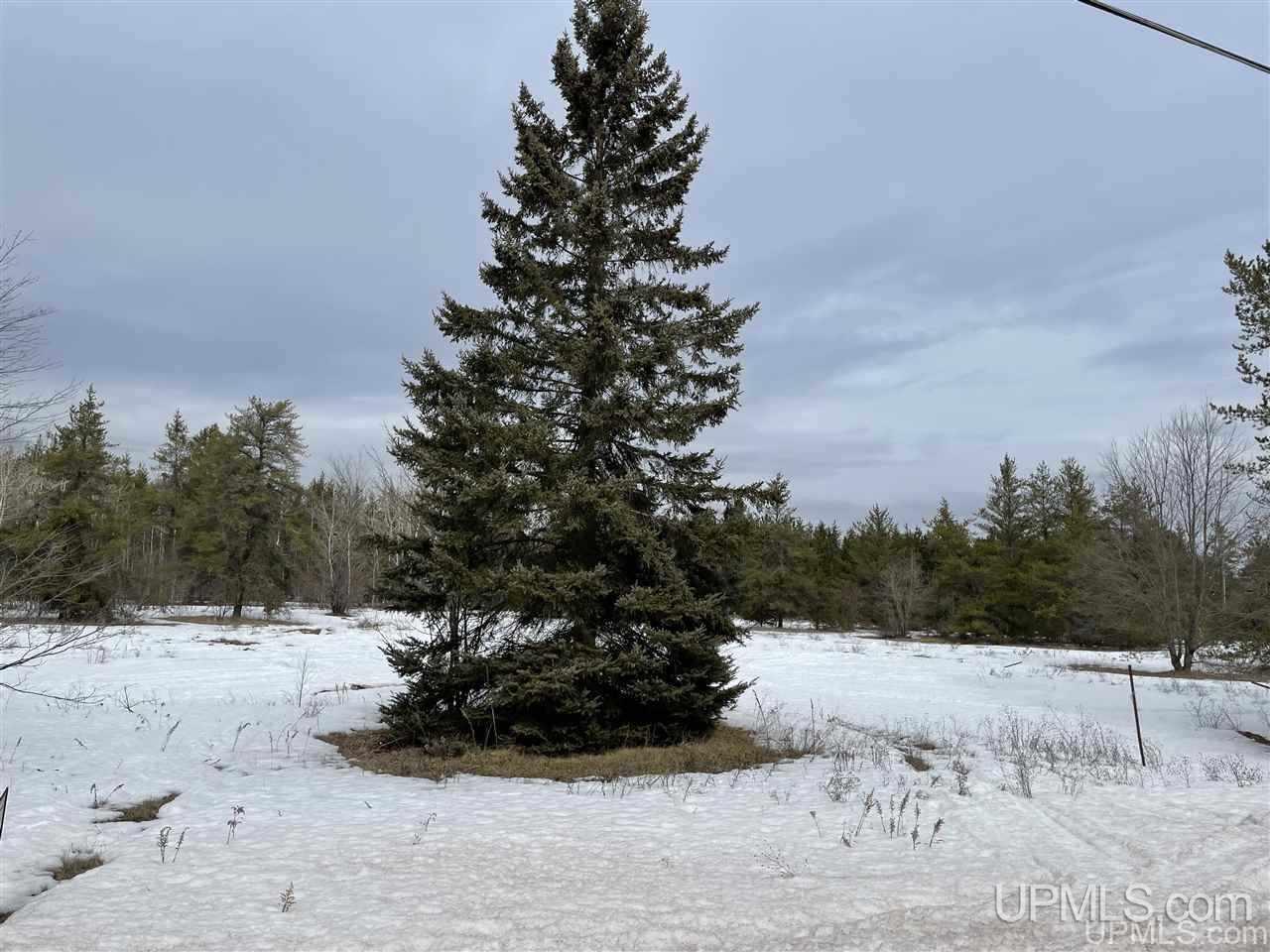 1932 East Co Road, Unit 1918 Little Lake, MI 49833 - Photo 8 of 10