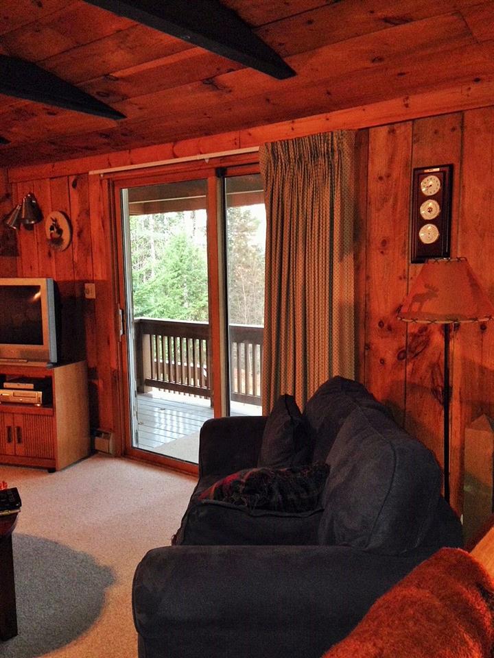 116 Cole Pond Road, Unit SNOMOUNT B Jamaica, VT 05343 - Photo 8 of 17 Gallery Image 8