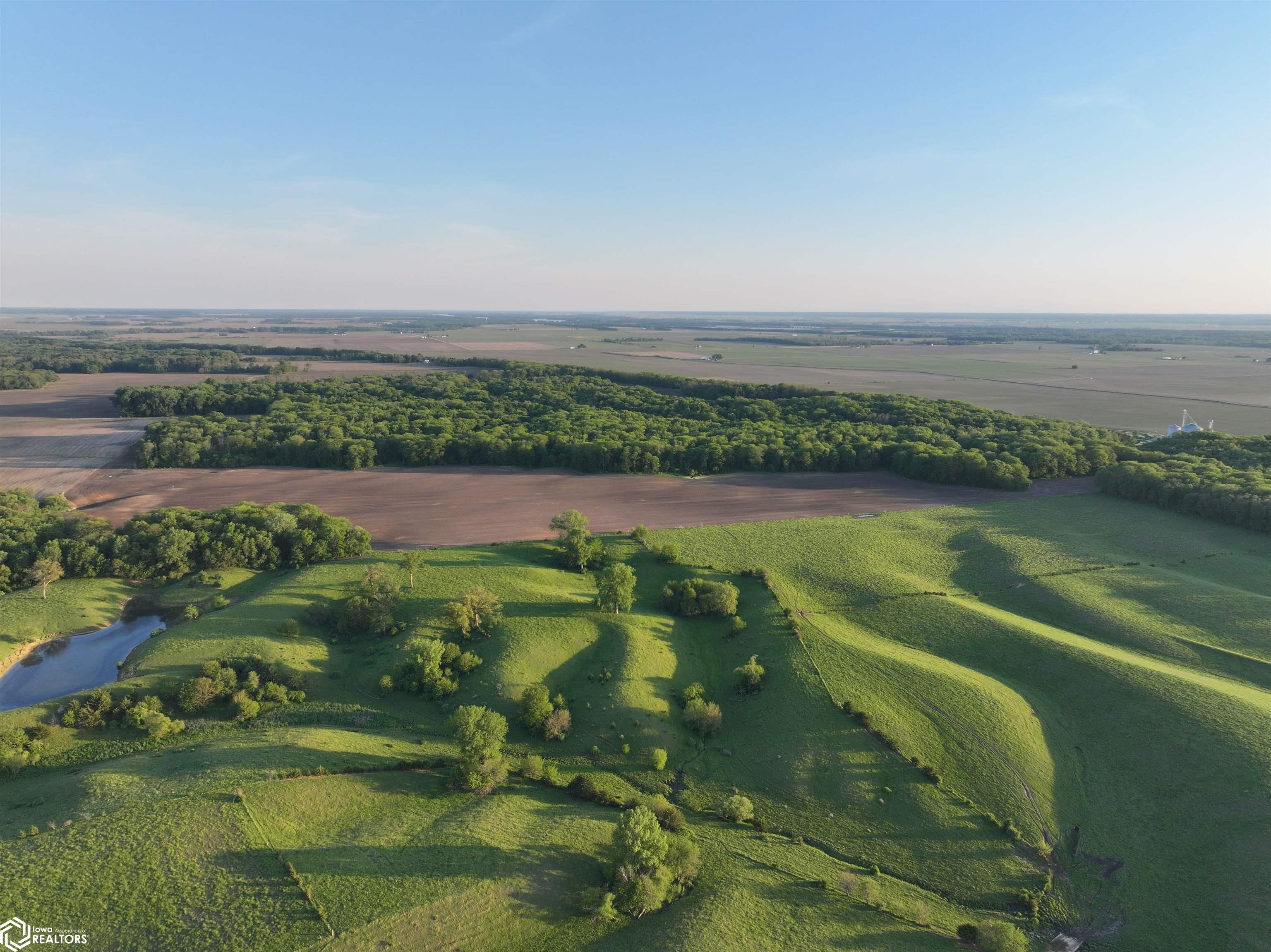 Bluff Road Joy, IL 61260 - Photo 18 of 27 Gallery Image 18