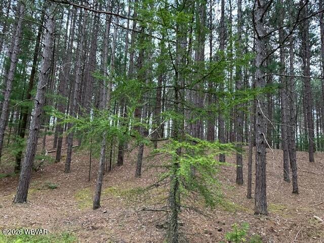 Iron Gate Road Beech Creek, PA 16822 - Photo 9 of 20 Gallery Image 9
