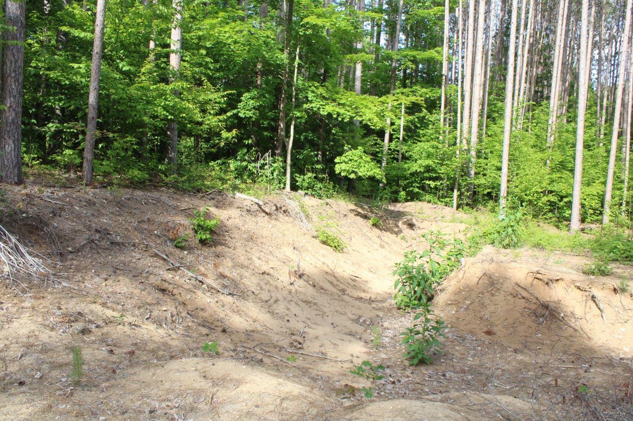 2750 Apple Creek Road Kalkaska, MI 49646 - Photo 18 of 24