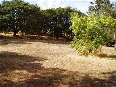 1265 Foster Road Napa, CA 94558 - Photo 5 of 10 Gallery Image 5