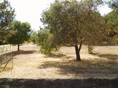 1265 Foster Road Napa, CA 94558 - Photo 9 of 10 Gallery Image 9