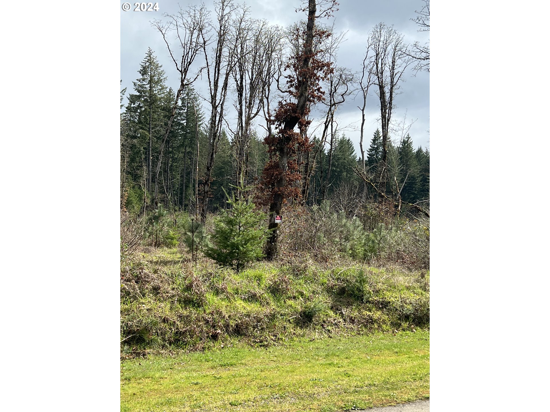23650 Suttle Road Veneta, OR 97487 - Photo 2 of 5 a view of a lake view