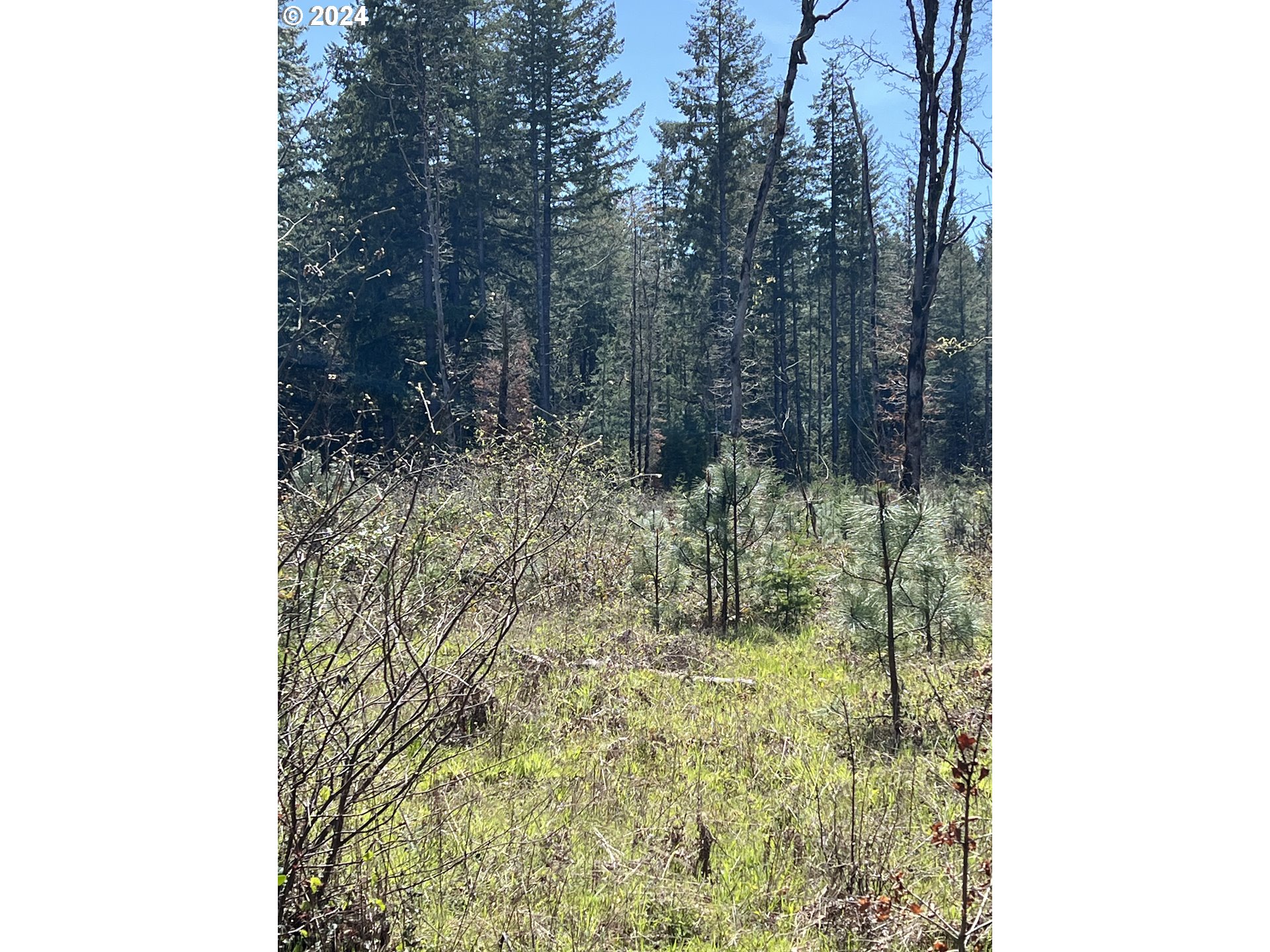 23650 Suttle Road Veneta, OR 97487 - Photo 3 of 5 a bathroom with a shower