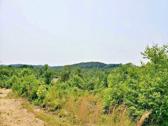 169 County Road 188 Decatur, TN 37322 - Photo 11 of 24