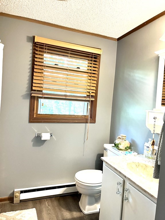 270 Sunderland Road, Unit 95 Worcester, MA 01604 - Photo 12 of 17 a bathroom with a sink and a toilet