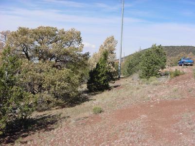 917 East Sagebrush Road Williams, AZ 86046 - Photo 6 of 6 Additional Photo