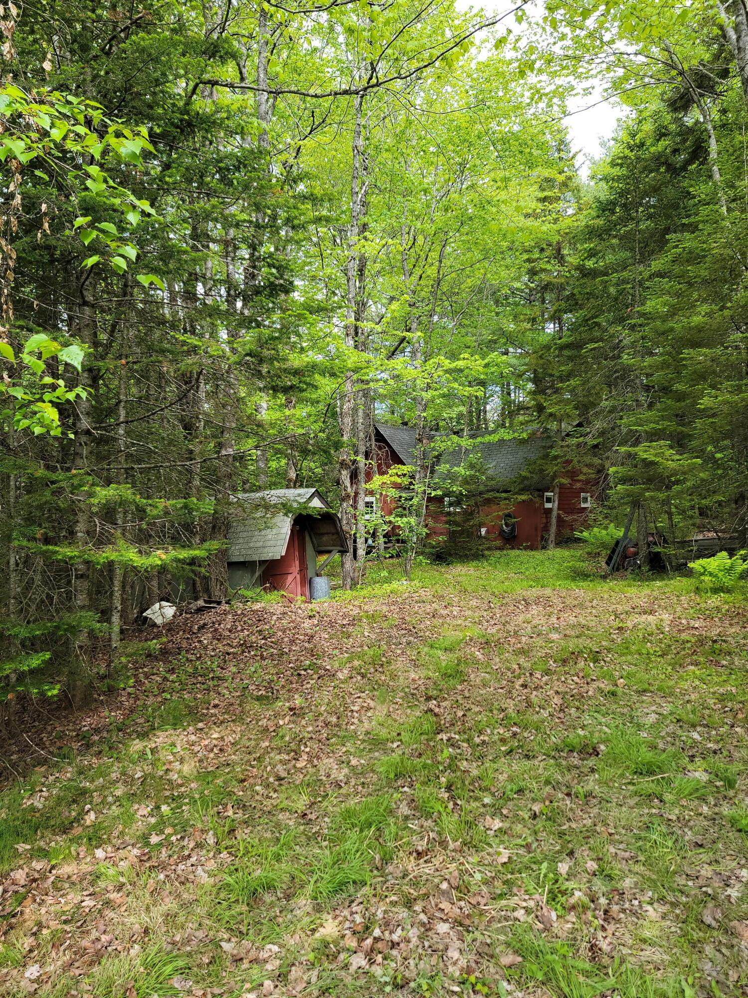 4709 Airline Road Wesley, ME 04686 - Photo 29 of 33 20220603_103805
