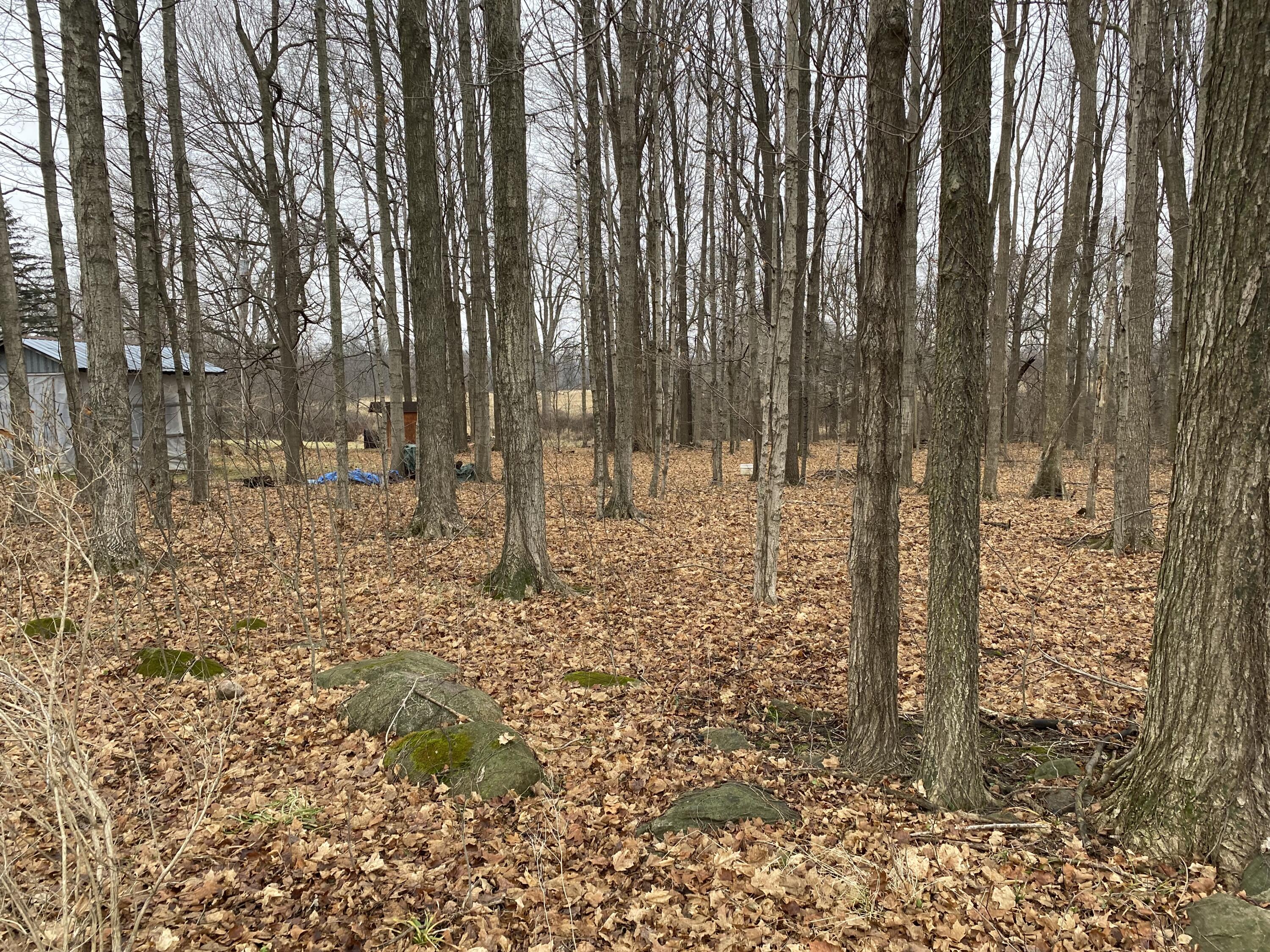 951 Olds Road Union City, MI 49094 - Photo 44 of 45 IMG_3329