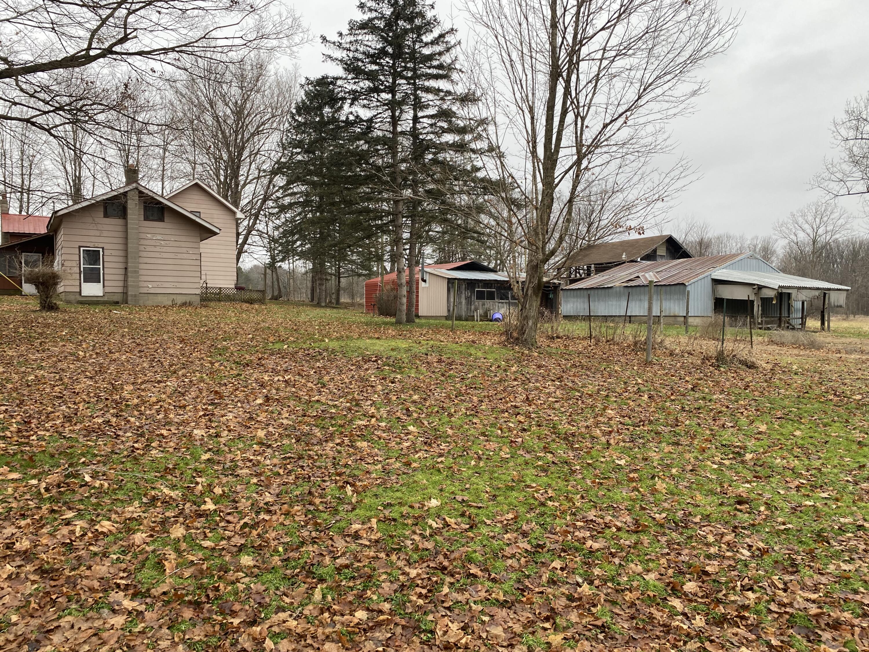 951 Olds Road Union City, MI 49094 - Photo 7 of 45 IMG_3334