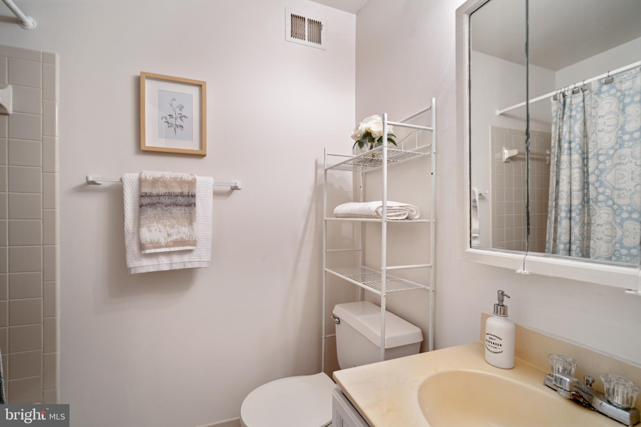 3920 9th Road South Arlington, VA 22204 - Photo 15 of 28 Hall full bathroom
