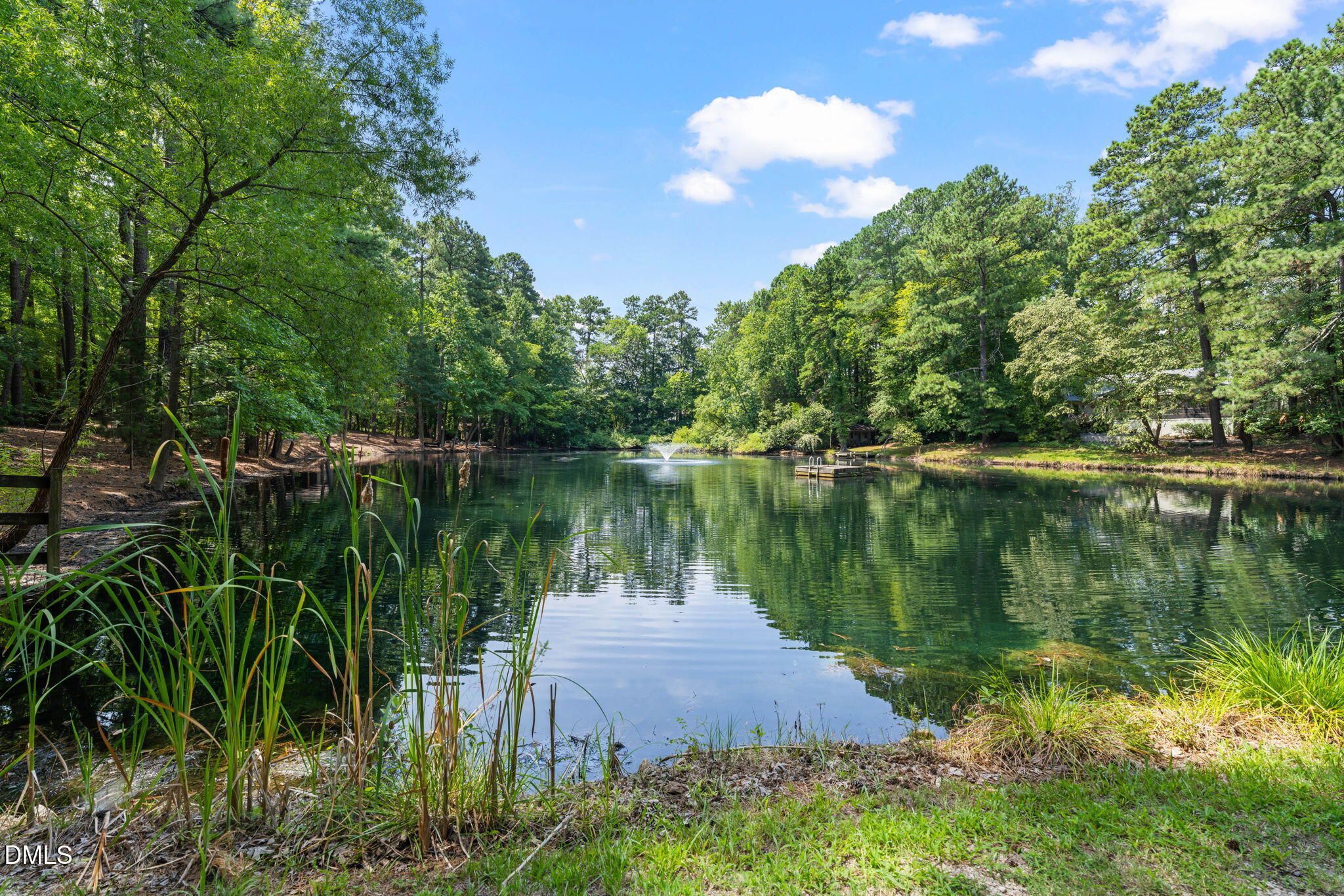 1401 Trinity Circle Raleigh, NC 27607 - Photo 4 of 91 The Pond