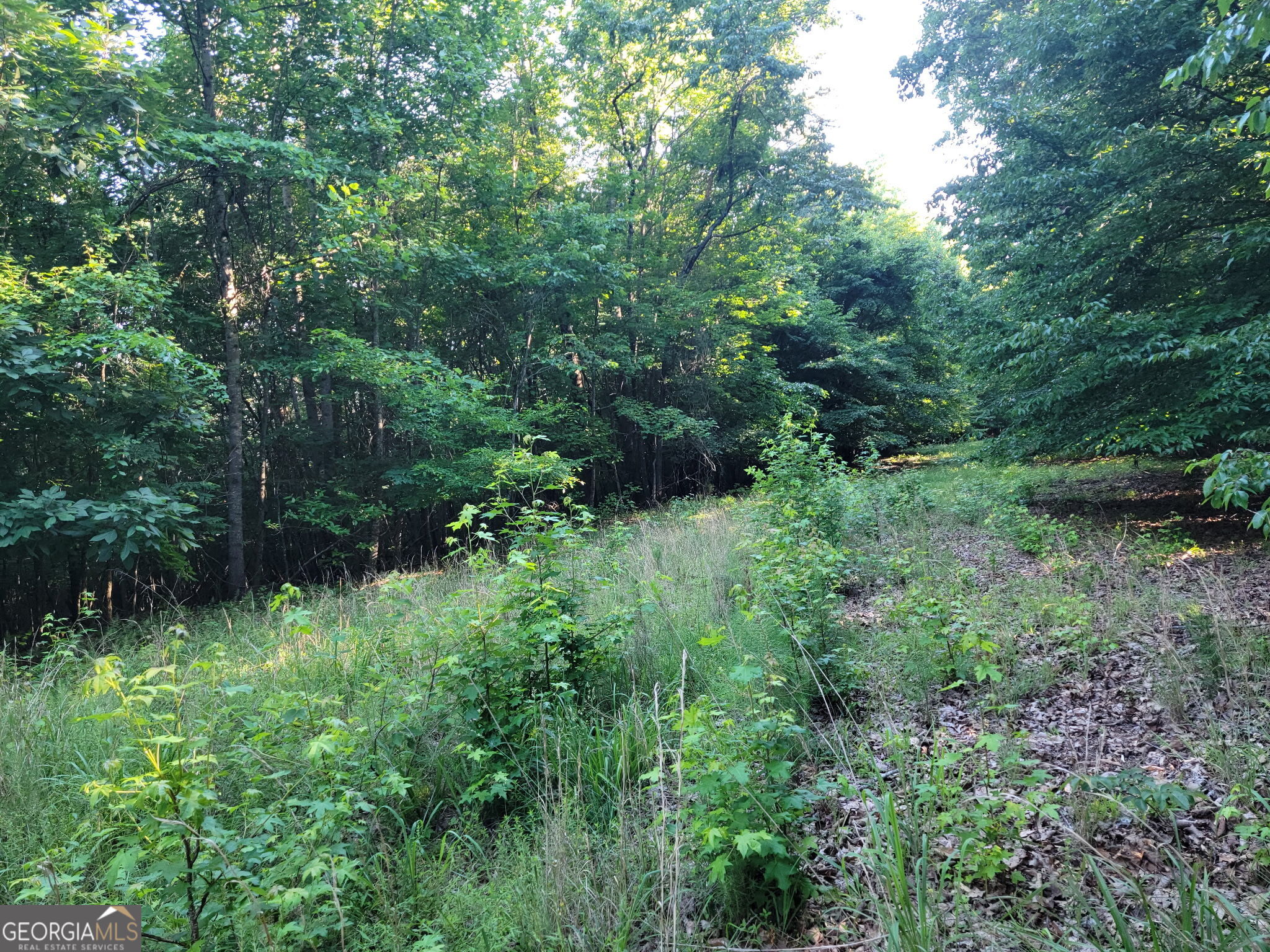 833 Neal Gap Road Summerville, GA 30747 - Photo 83 of 86