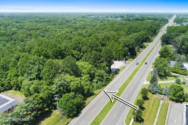 a view of a yard with plants