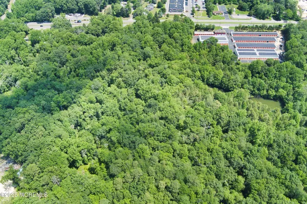 a view of a forest with a street