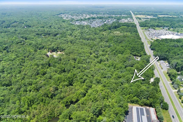 a view of a yard with plants