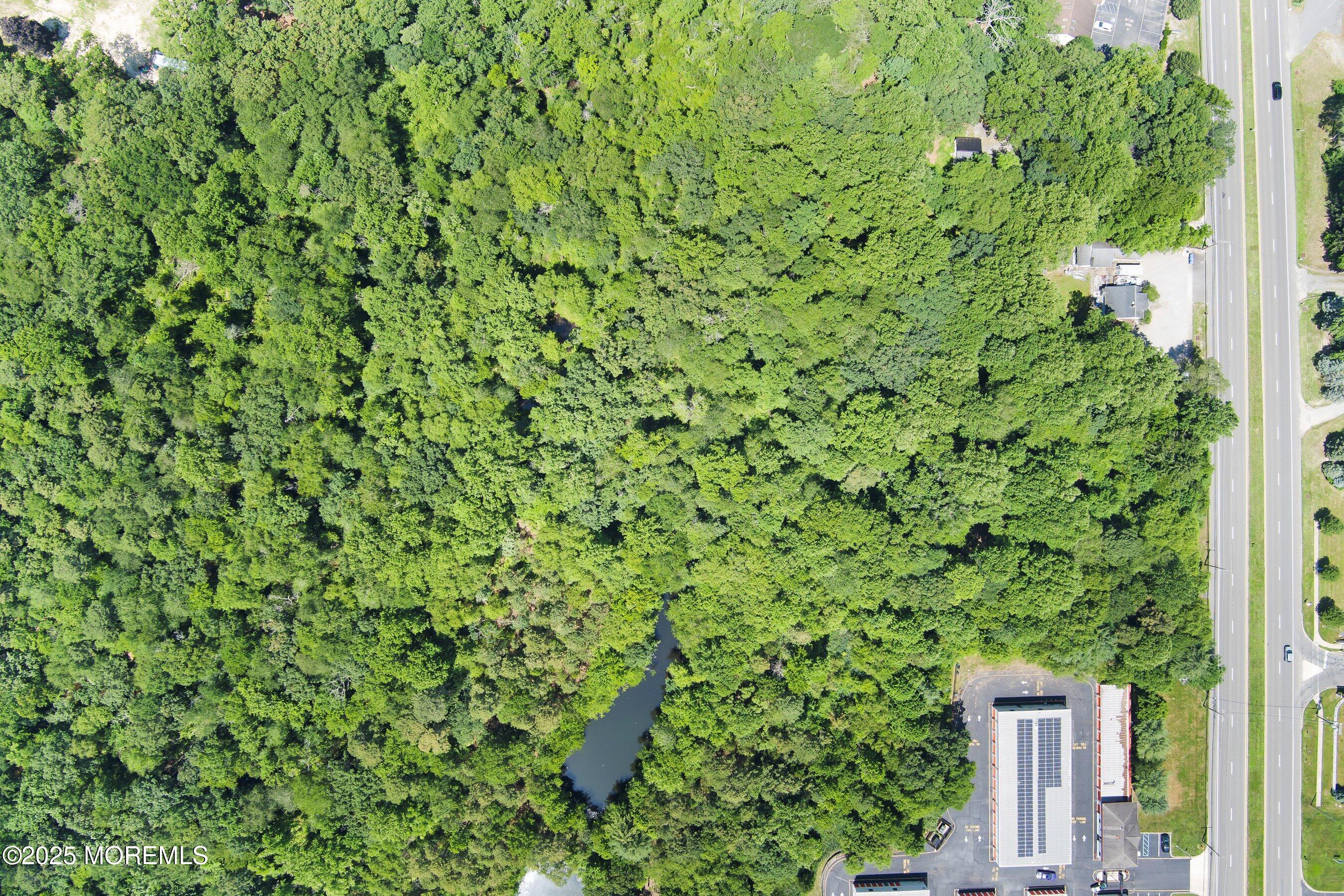 185 North County Line Road Jackson, NJ 08527 - Photo 7 of 22 a view of a lush green forest with large trees