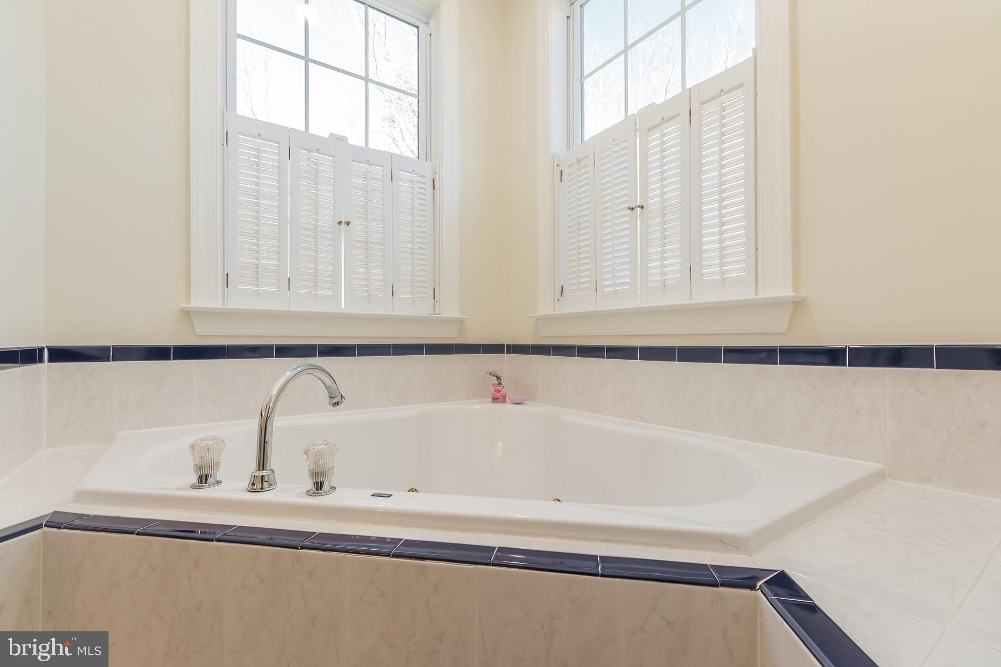 976 Hunting Ridge Road Winchester, VA 22603 - Photo 64 of 120 Soaking Tub