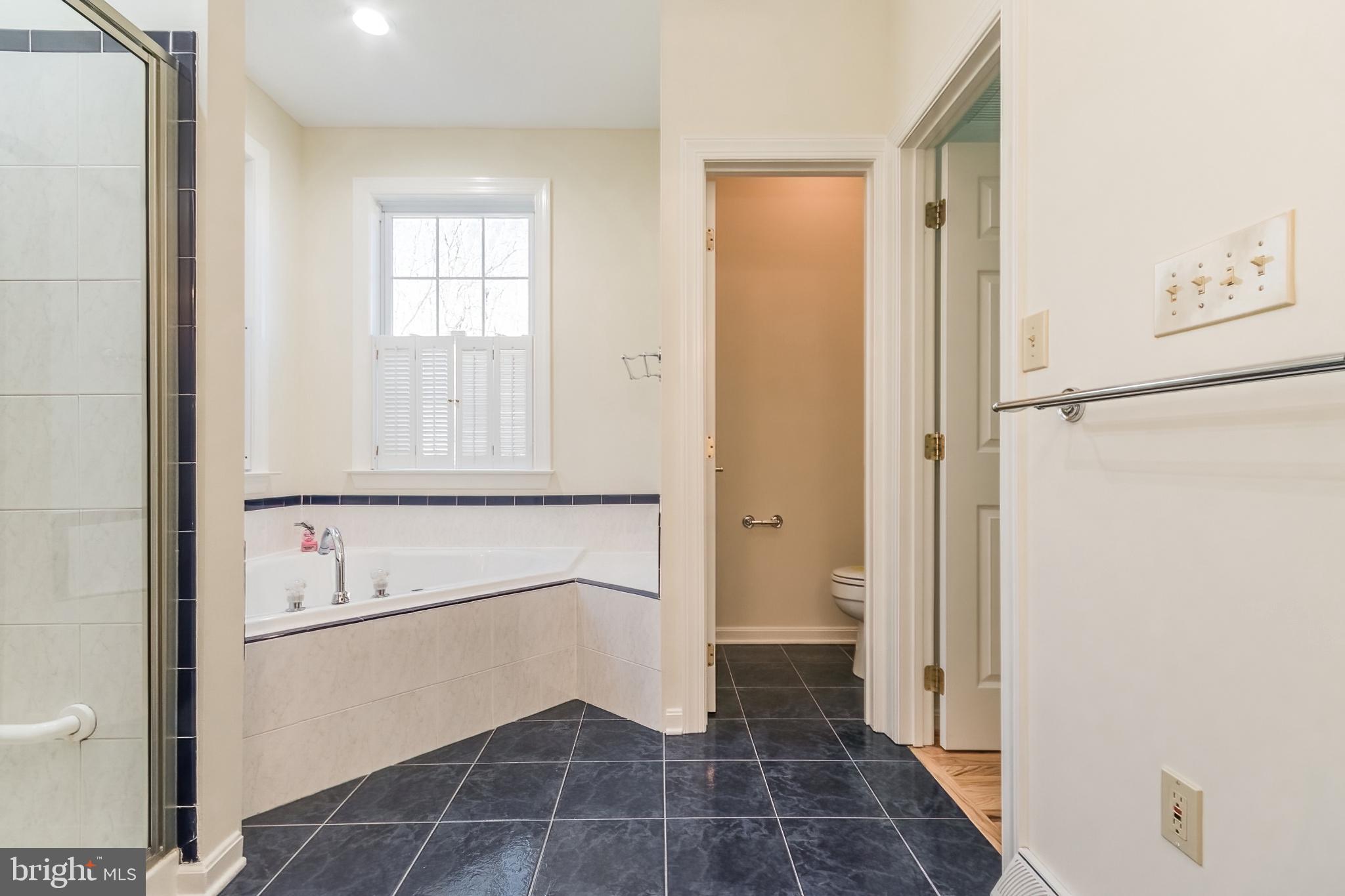 976 Hunting Ridge Road Winchester, VA 22603 - Photo 66 of 120 Primary bath soaking Tub
