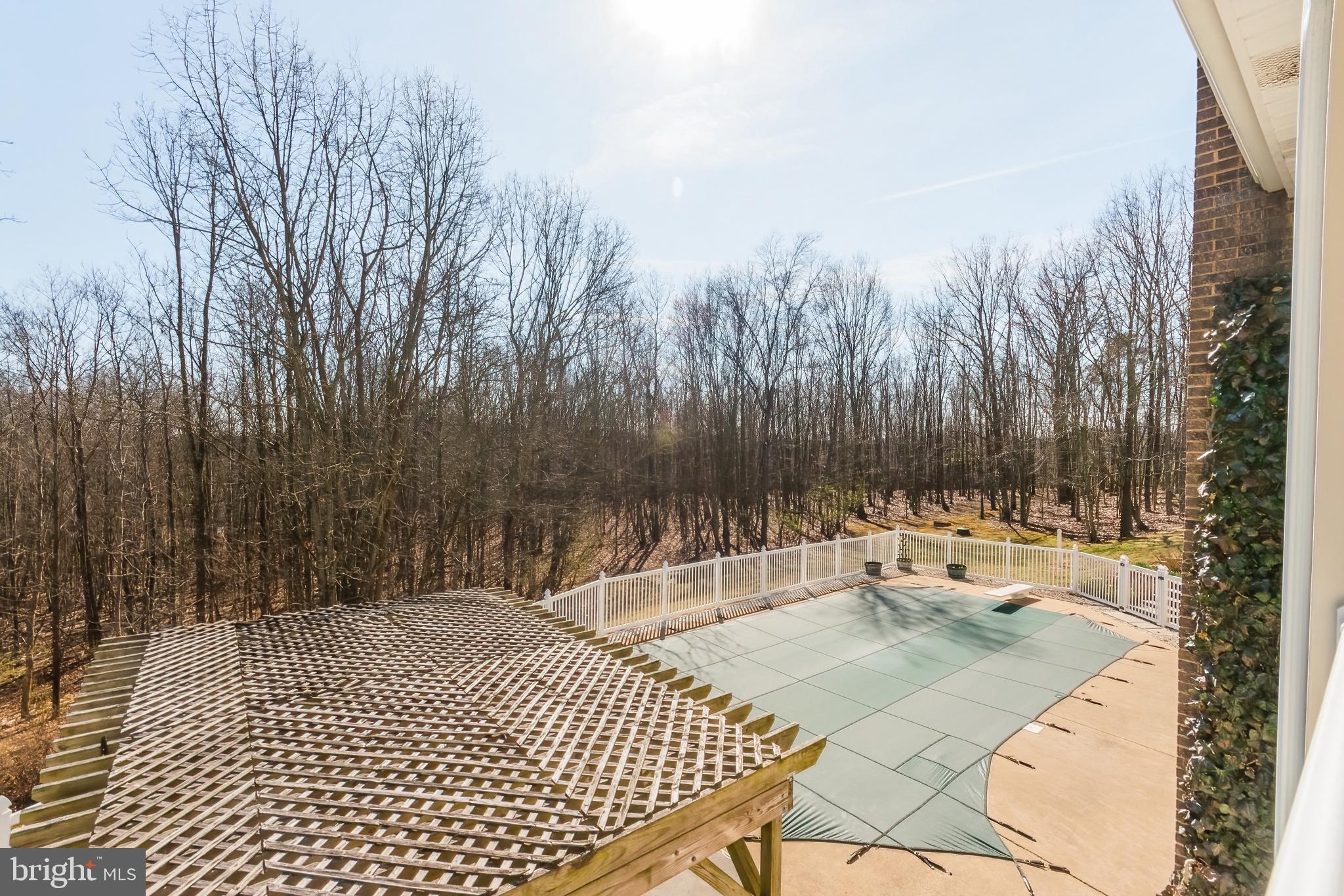 976 Hunting Ridge Road Winchester, VA 22603 - Photo 68 of 120 Pool View from Primary Balcony