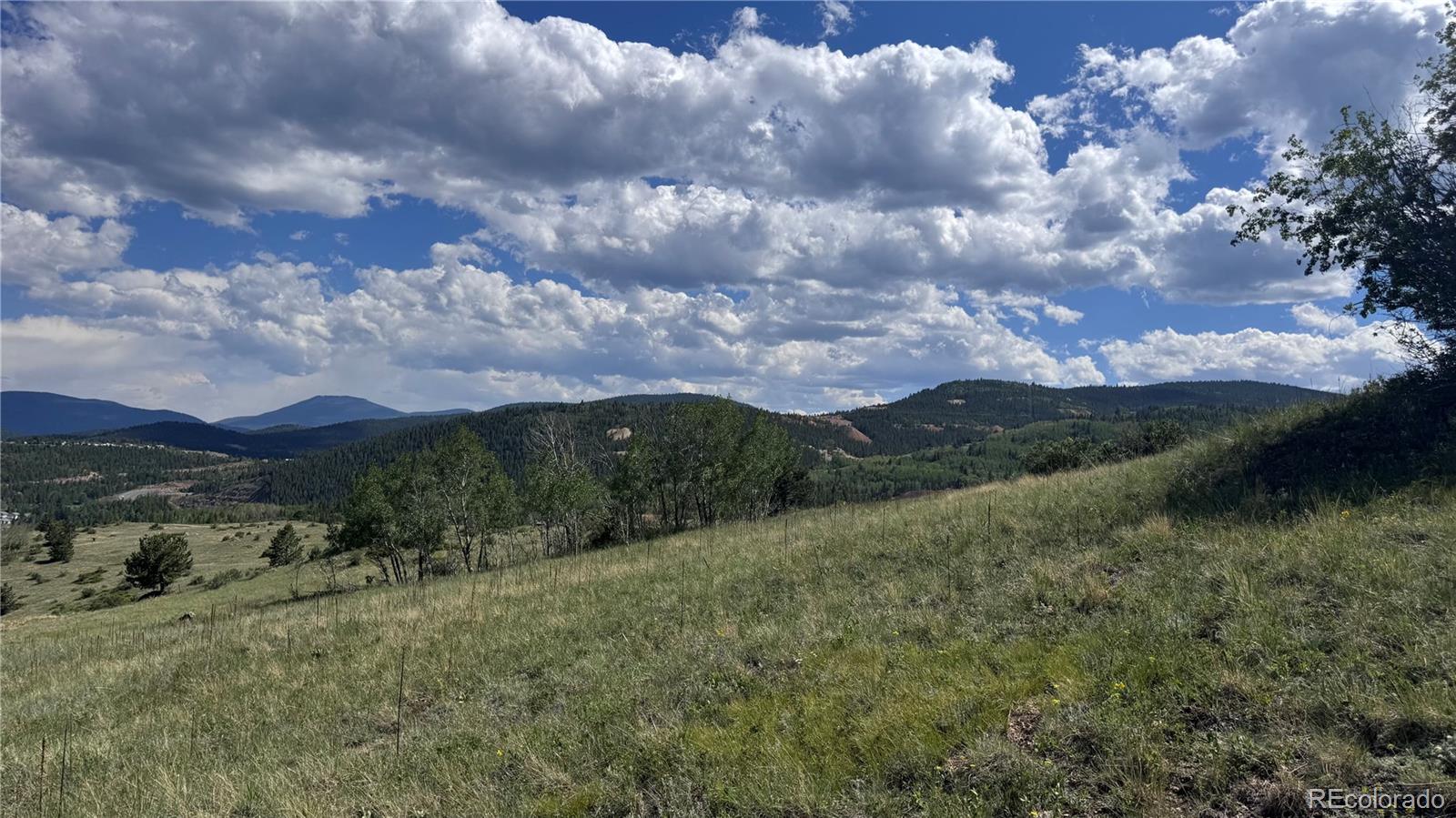 2 Mac Rock Road Central City, CO 80427 - Photo 6 of 20