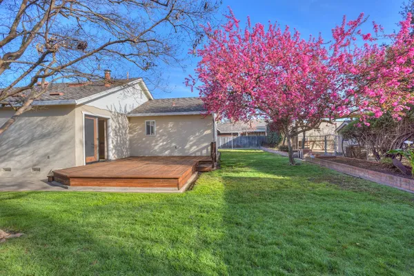 a view of backyard with fountain and large trees