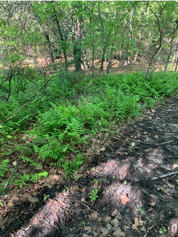 4571 Running Branch Road Aubrey, TX 76227 - Photo 18 of 26 Image quality insufficient for description