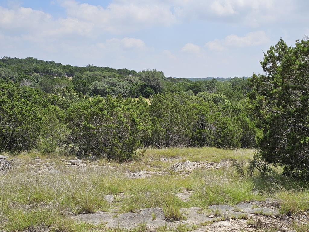 20120 Other Rocksprings, TX 78880 - Photo 22 of 22
