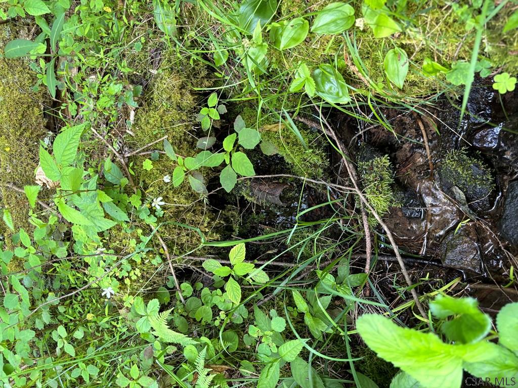Pullim Hollow Road Confluence, PA 15424 - Photo 6 of 8 Gallery Image 6