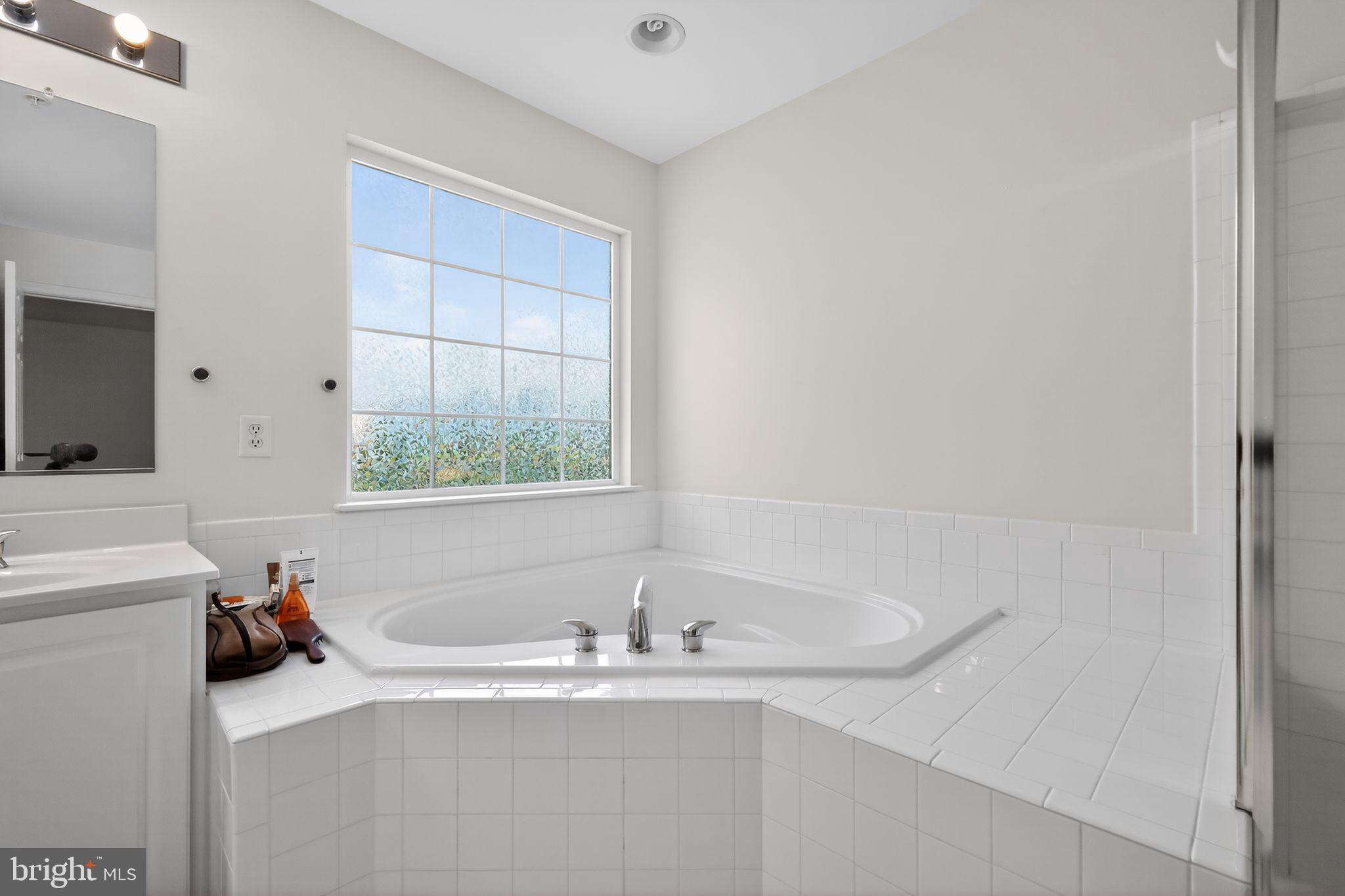 1034 Meandering Way Odenton, MD 21113 - Photo 25 of 30 a bath tub sitting next to a white sink