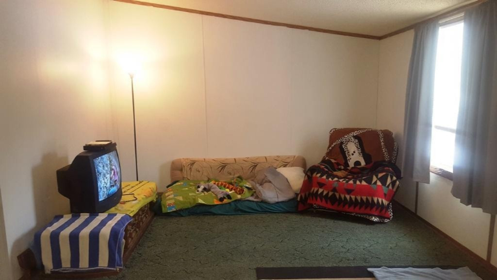 20475 Gates Road Howard City, MI 49329 - Photo 5 of 16 living room