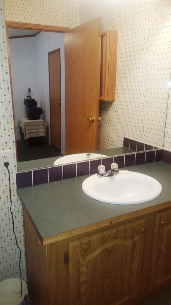 20475 Gates Road Howard City, MI 49329 - Photo 8 of 16 masterbathroom1