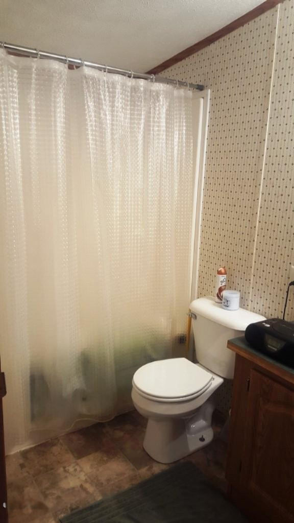 20475 Gates Road Howard City, MI 49329 - Photo 9 of 16 Masterbathroom