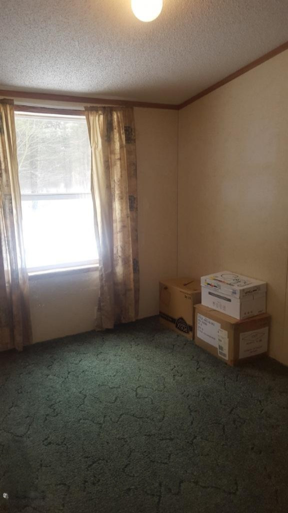 20475 Gates Road Howard City, MI 49329 - Photo 10 of 16 bedroom2