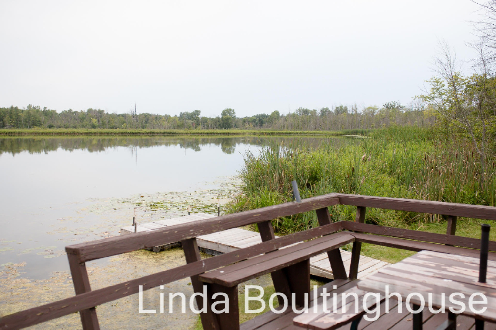 734 Hemingway Drive Stanton, MI 48888 - Photo 11 of 64 734 Hemmingway DR
