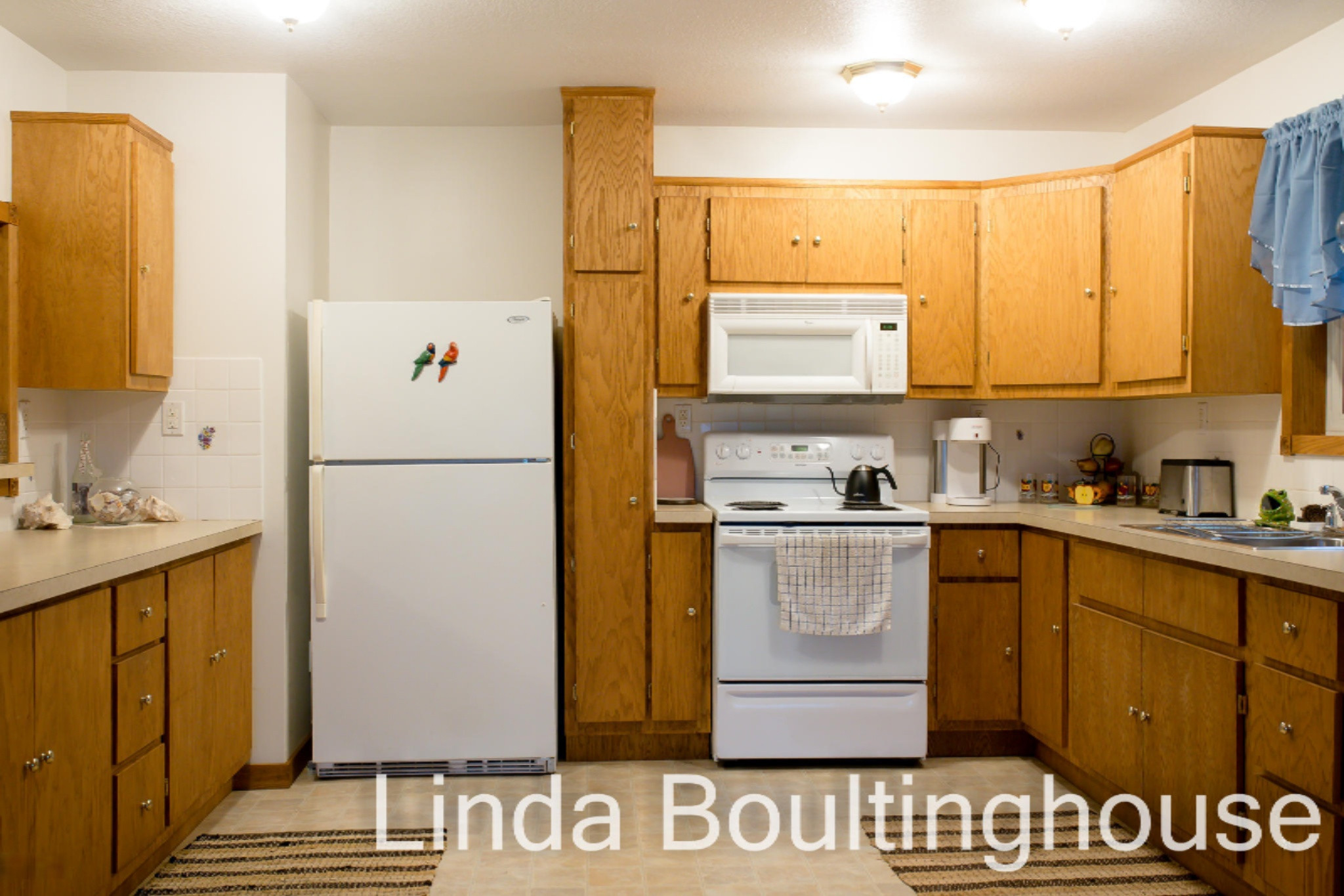 734 Hemingway Drive Stanton, MI 48888 - Photo 20 of 64 734 Hemmingway DR