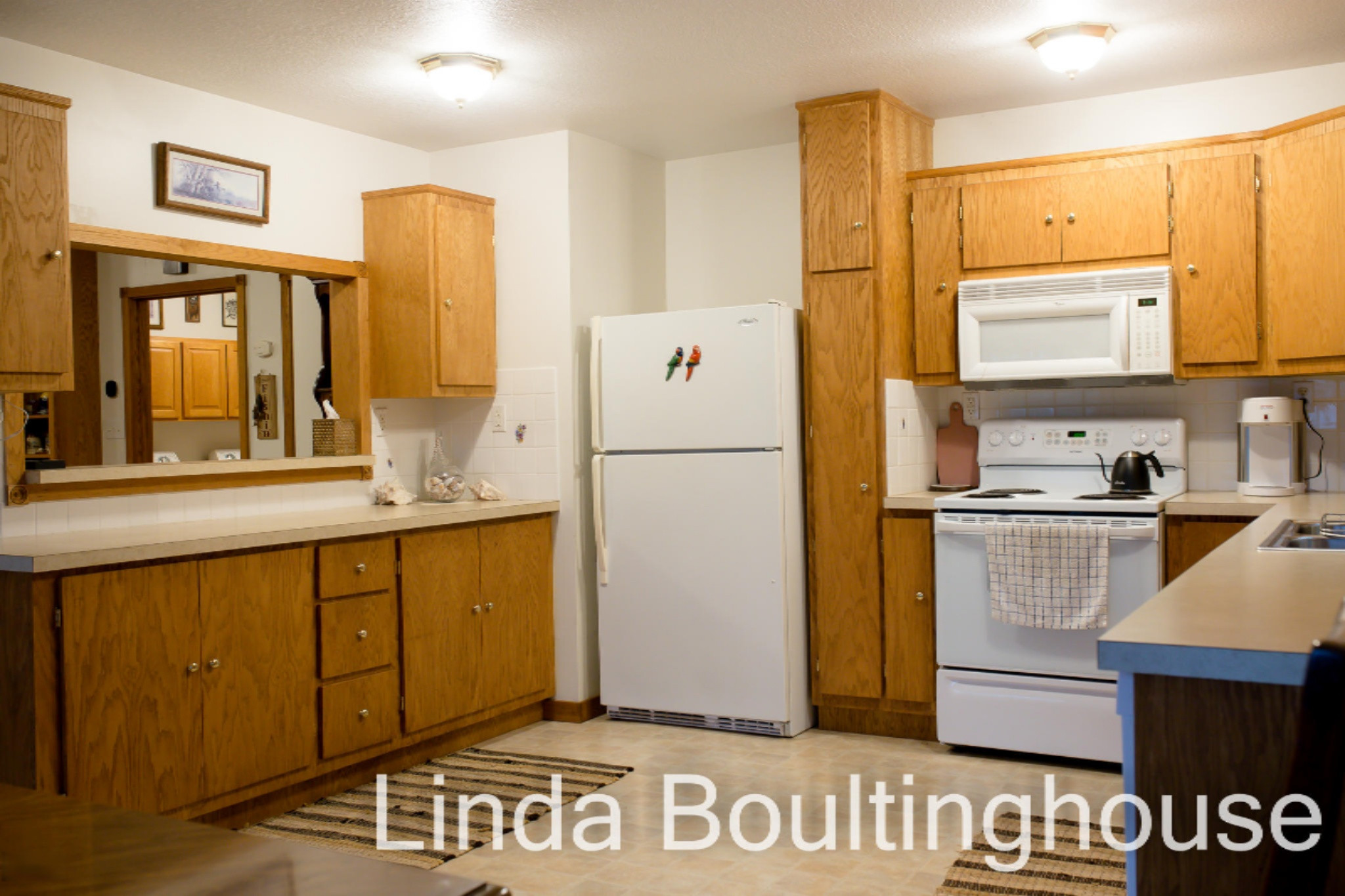734 Hemingway Drive Stanton, MI 48888 - Photo 21 of 64 734 Hemmingway DR