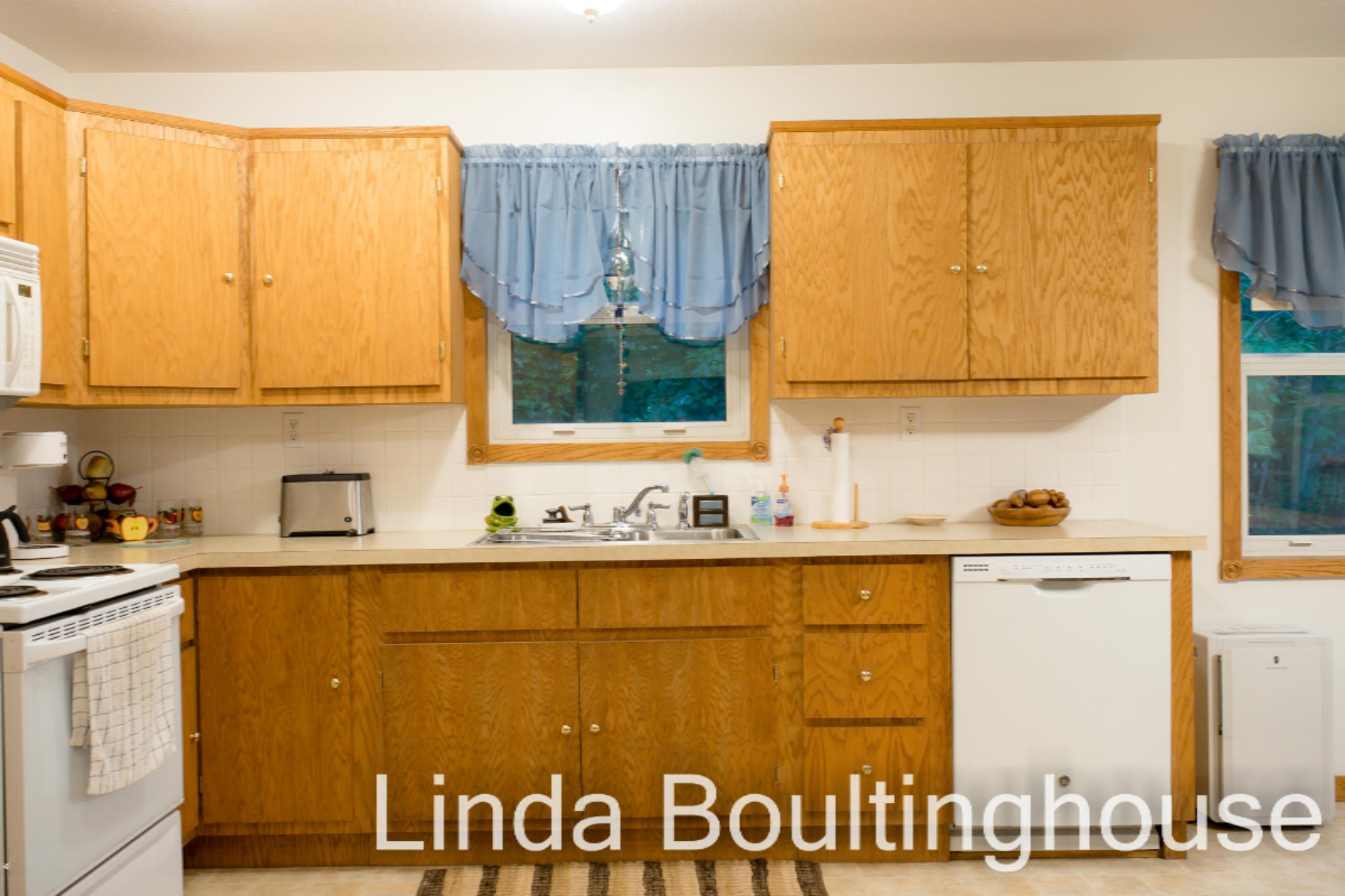 734 Hemingway Drive Stanton, MI 48888 - Photo 24 of 64 734 Hemmingway DR