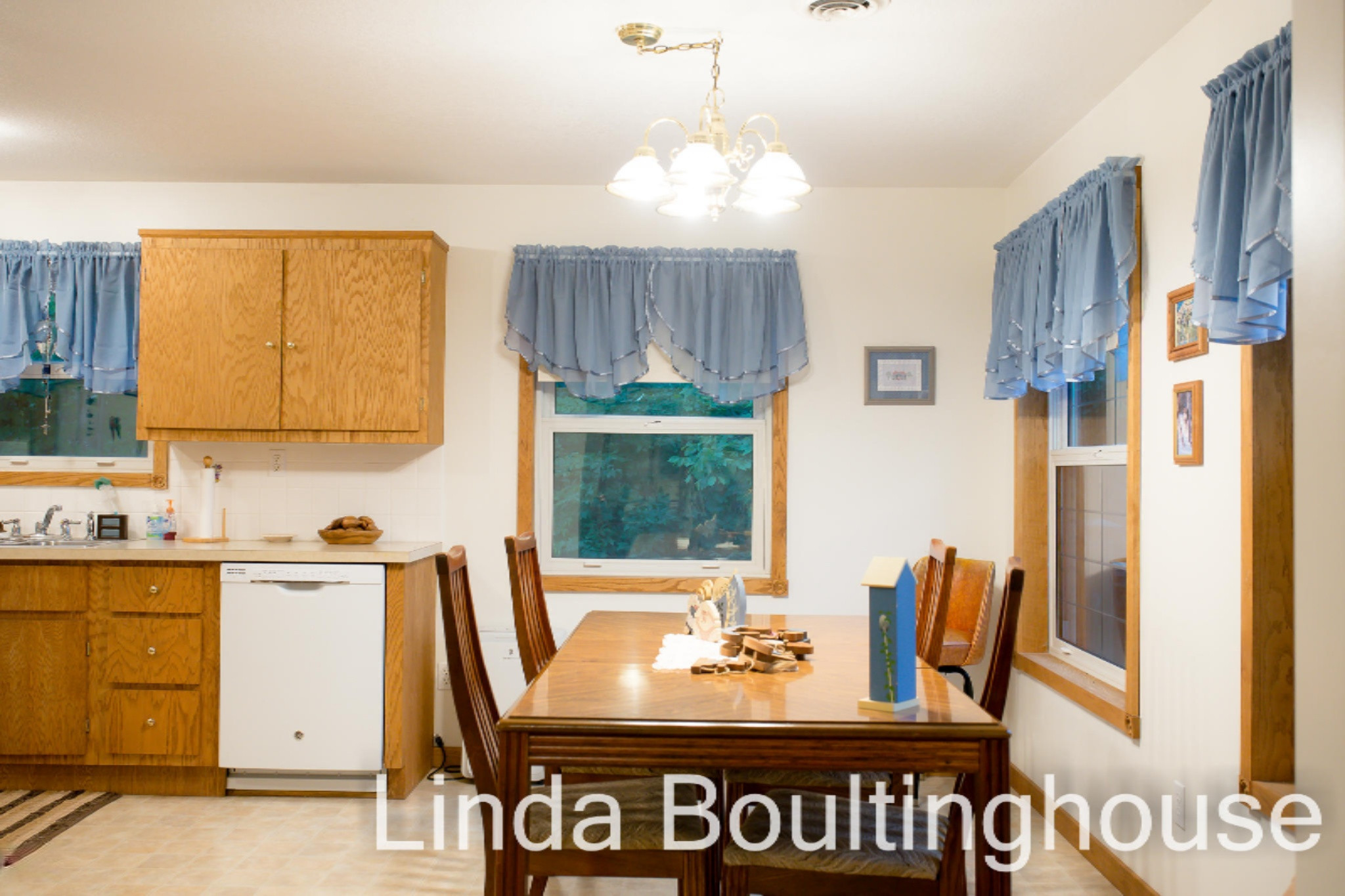 734 Hemingway Drive Stanton, MI 48888 - Photo 25 of 64 734 Hemmingway DR