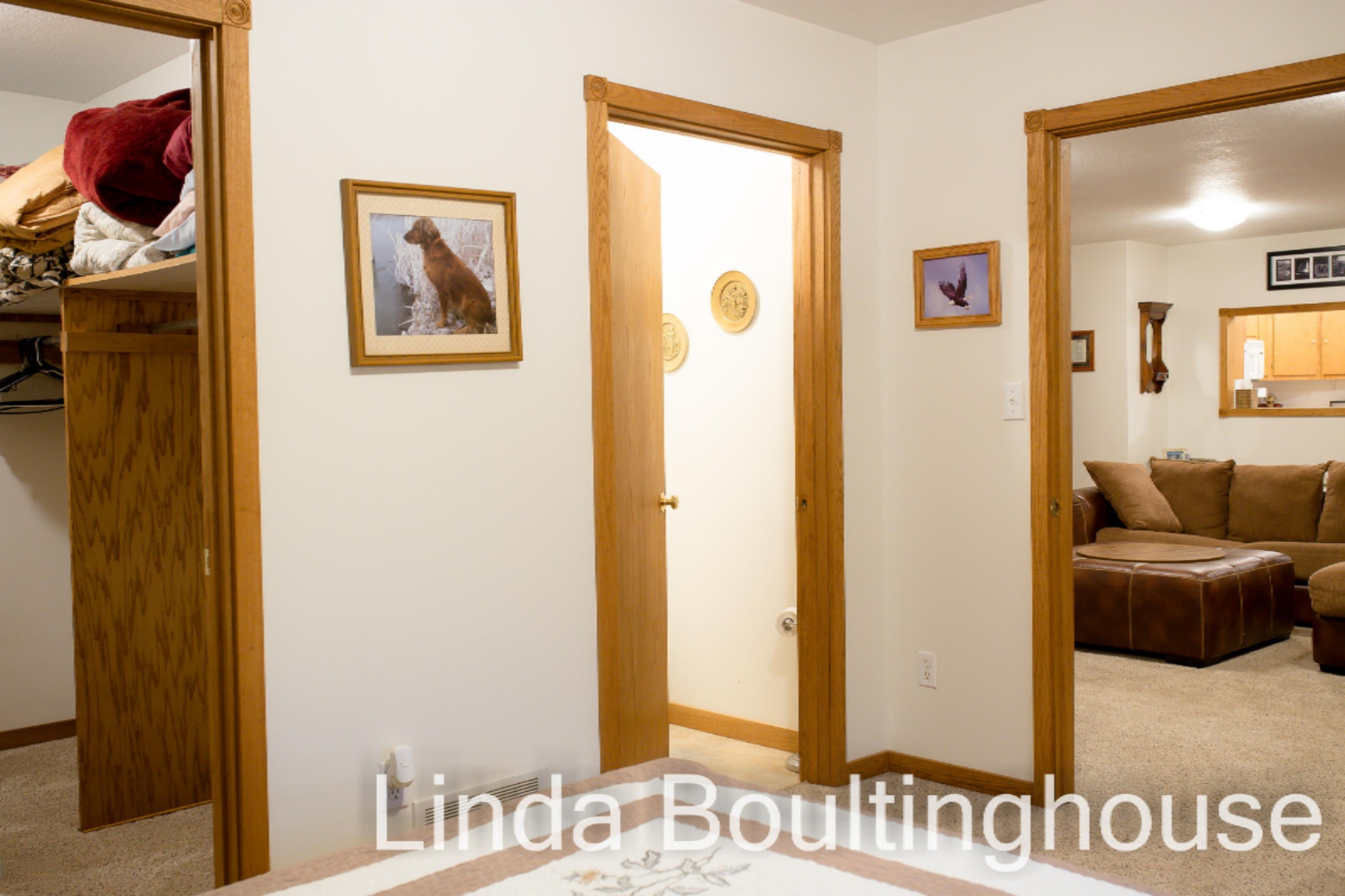 734 Hemingway Drive Stanton, MI 48888 - Photo 47 of 64 734 Hemmingway DR
