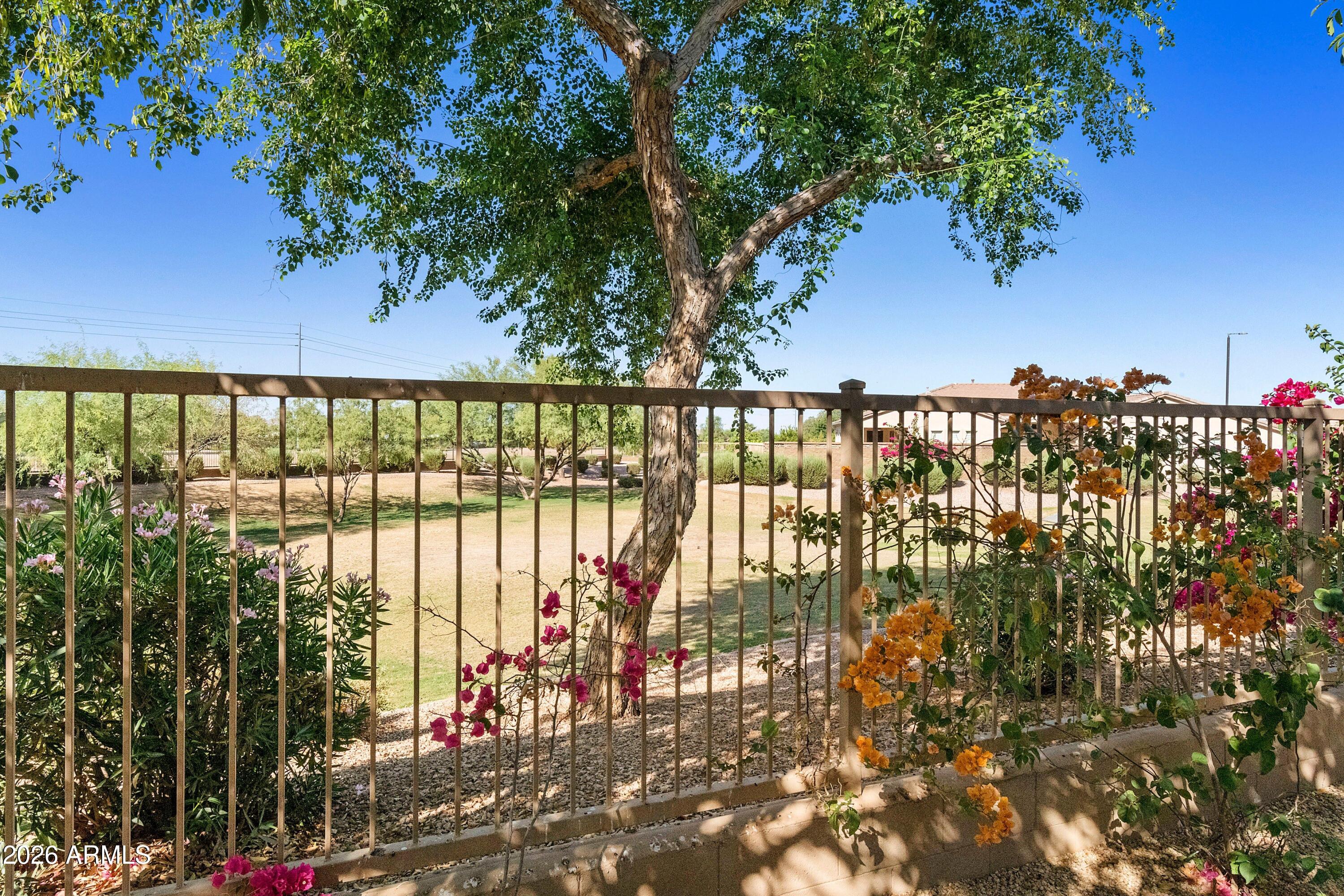 4239 East Ficus Way Gilbert, AZ 85298 - Photo 50 of 77