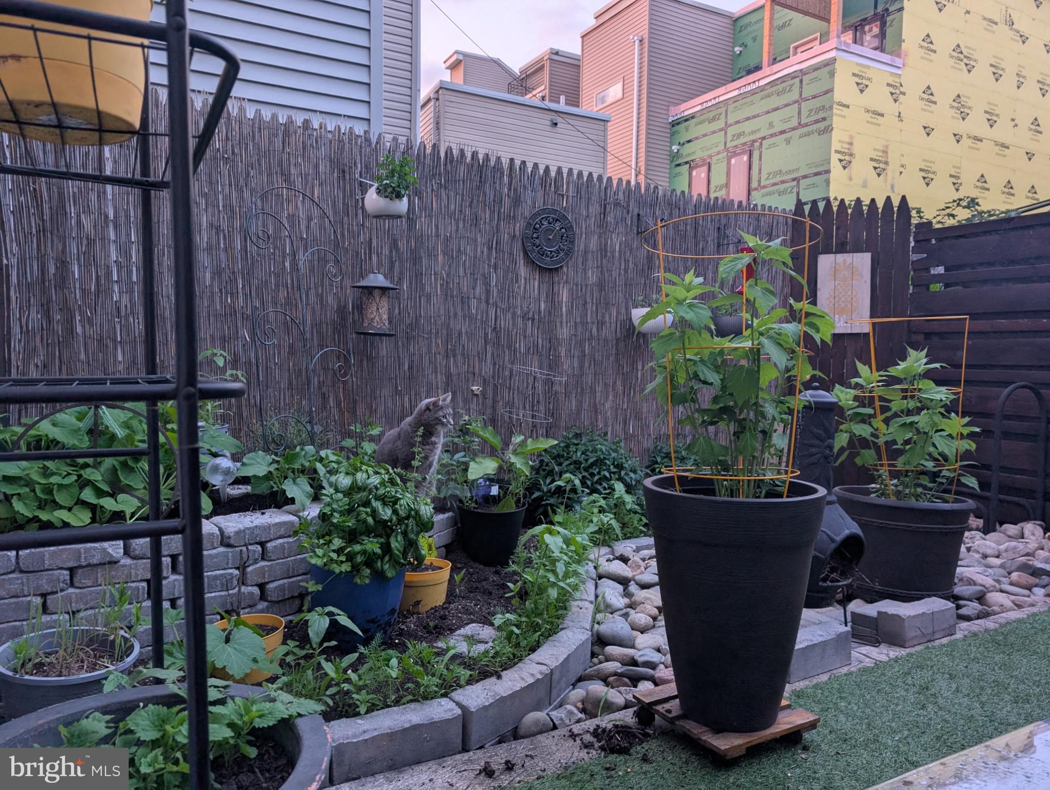 1729 Reed Street Philadelphia, PA 19146 - Photo 4 of 6 a view of a backyard with plants